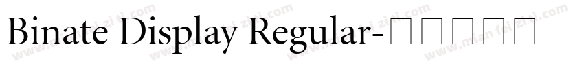 Binate Display Regular字体转换